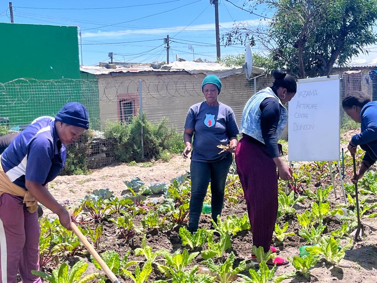 Garden Project Life Skills